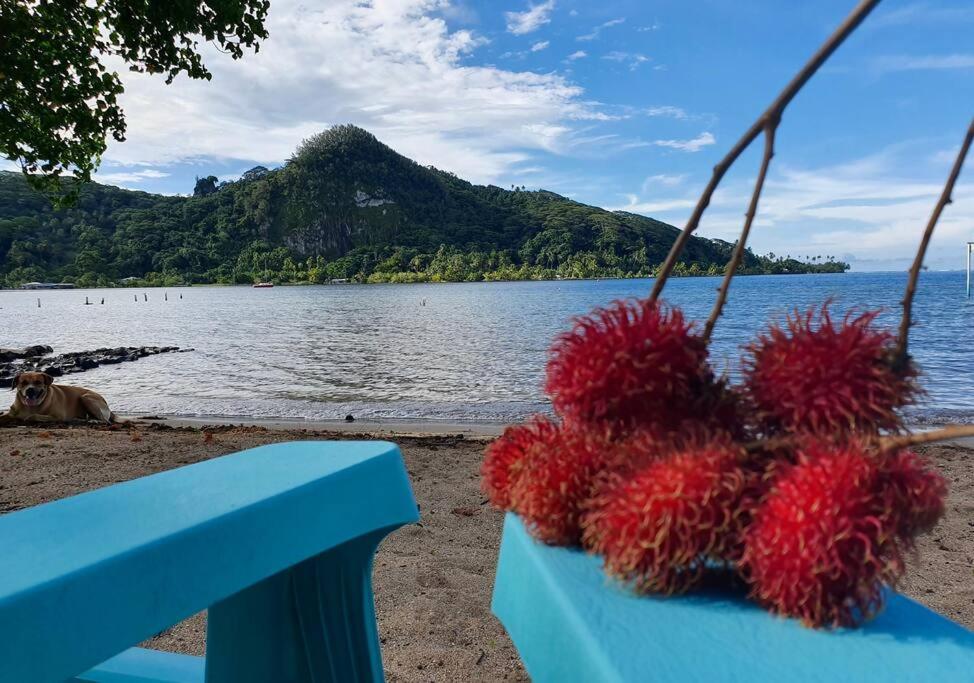 Raiatea, Opoa, Fare Reve, Bord De Mer Villa Exteriör bild