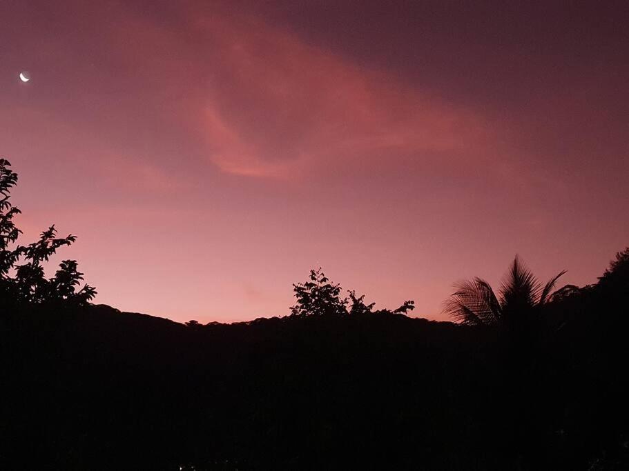 Raiatea, Opoa, Fare Reve, Bord De Mer Villa Exteriör bild